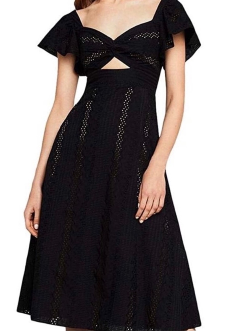 BCBGMAZAZRIA Embroidered Fit and Flare Lace Midi Dress Western Whimsigoth